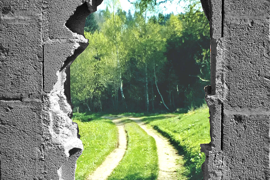 47.poesie