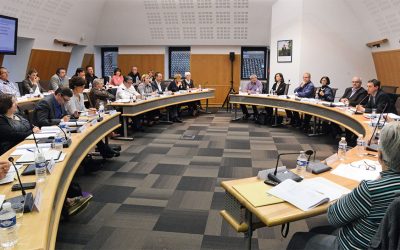 Conseil Municipal en différé // jeudi 28 mars 2019