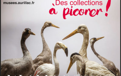 Actualité des Musées d’Aurillac