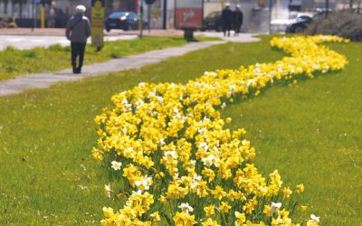 Aurillac se dote d’un atlas de la biodiversité