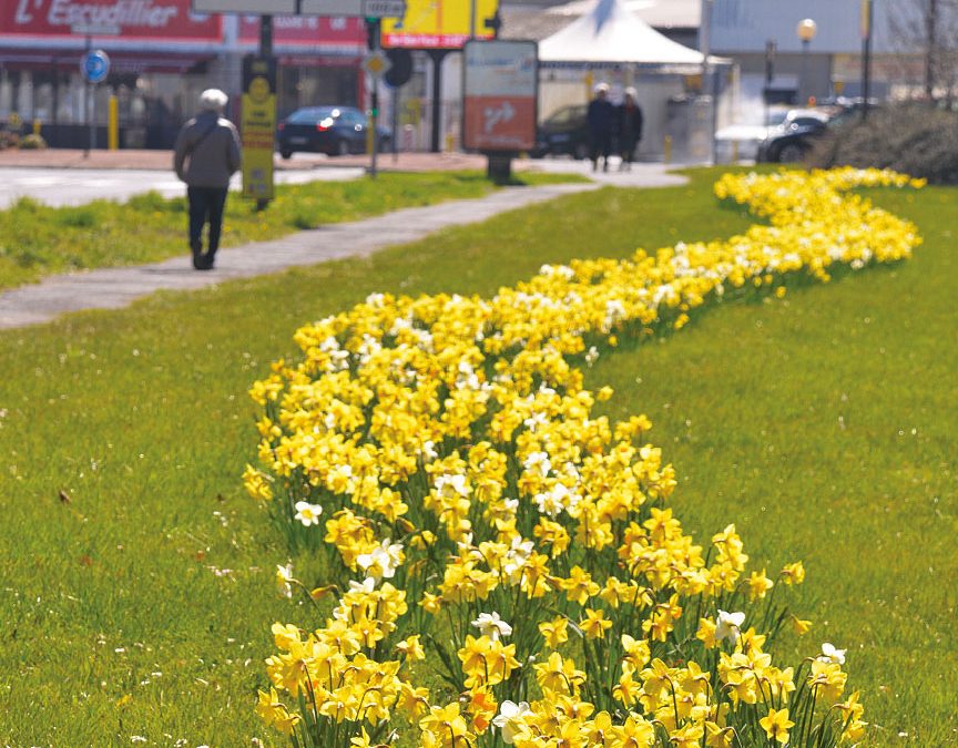 Aurillac se dote d’un atlas de la biodiversité