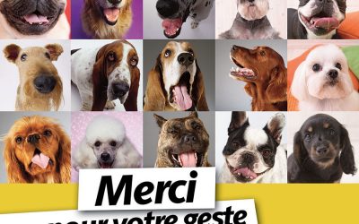 La propreté urbaine, c’est l’affaire de tous !