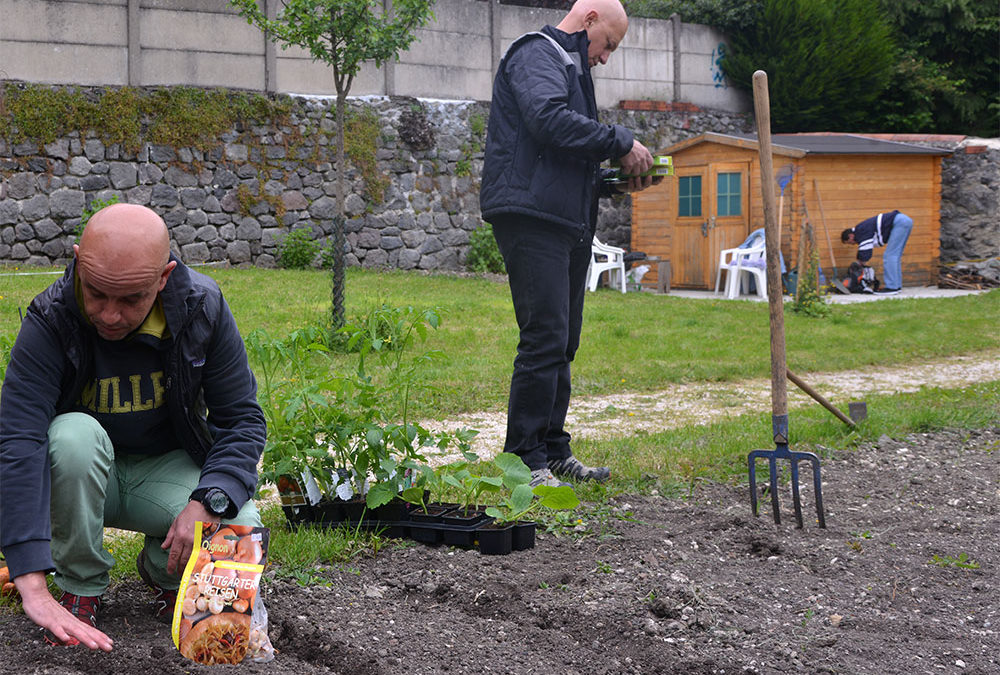 Un jardin de permaculture à Cap Cœur