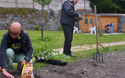Un jardin de permaculture à Cap Cœur