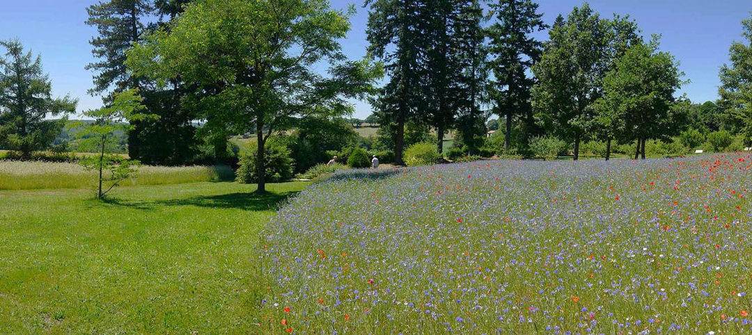 Les sens en éveil… à la Plantelière