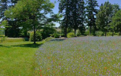 Les sens en éveil… à la Plantelière