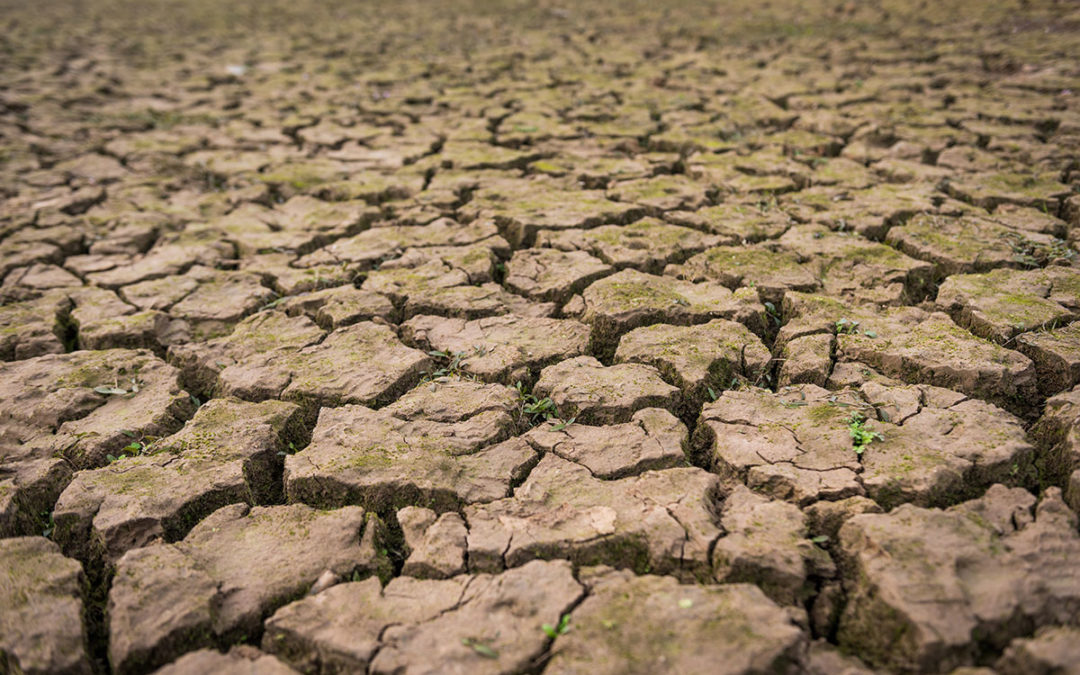 Catastrophe naturelle sécheresse / Arrêté de reconnaissance de l&rsquo;état de catastrophe naturelle pour Aurillac