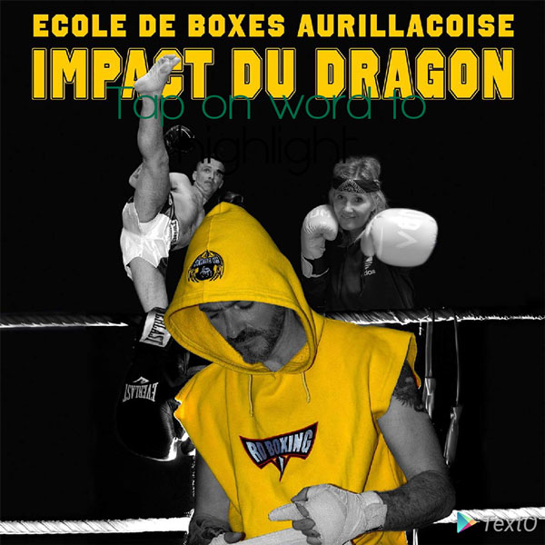 IMPACT DU DRAGON