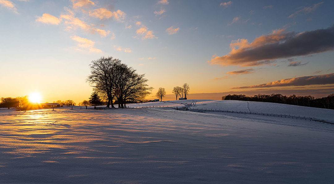 Salon de la photo en virtuel…