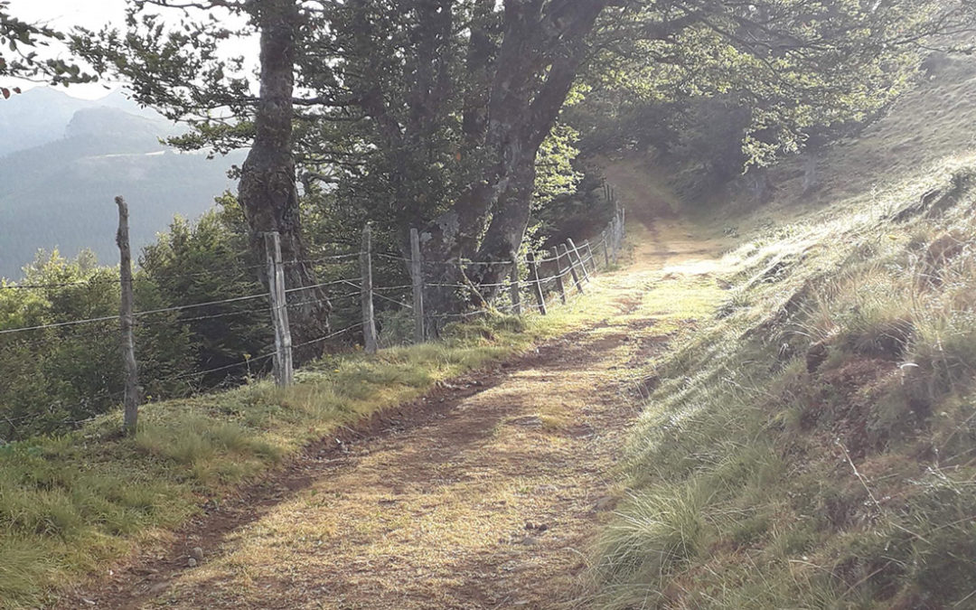 Concours d&rsquo;expression Occitane