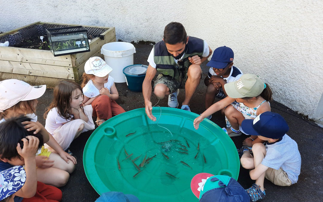 À la découverte de la pêche