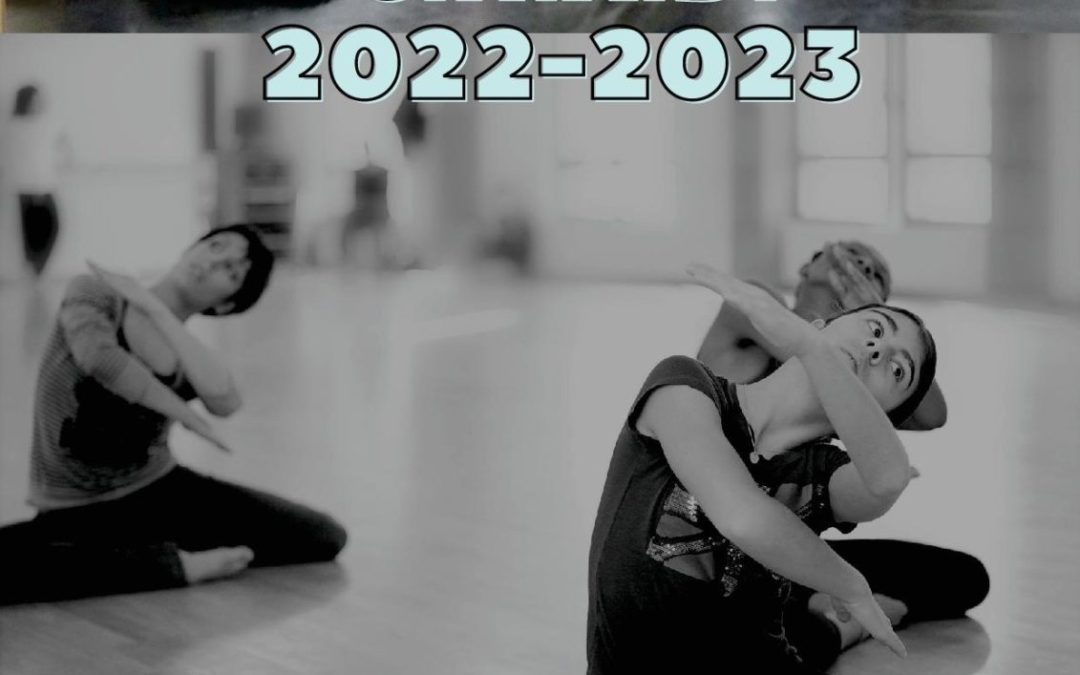 Les Classes à Horaires Aménagés Danse