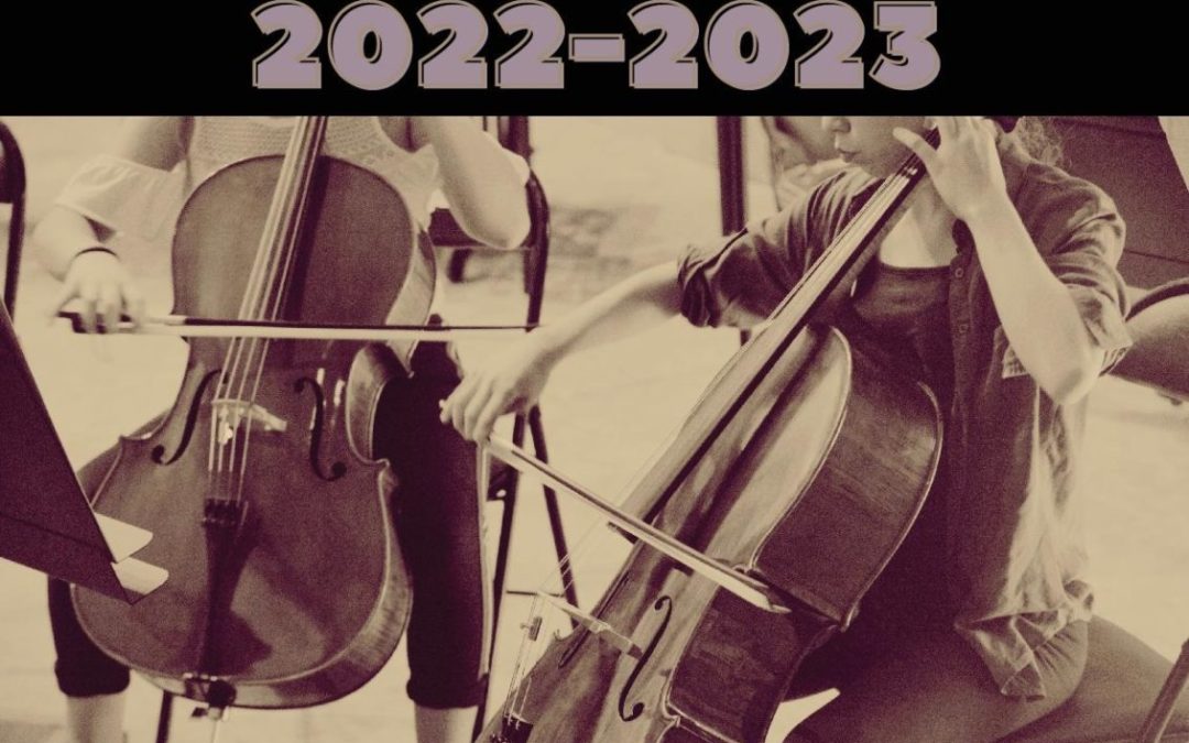 Les Classes à Horaires Aménagés Musicales