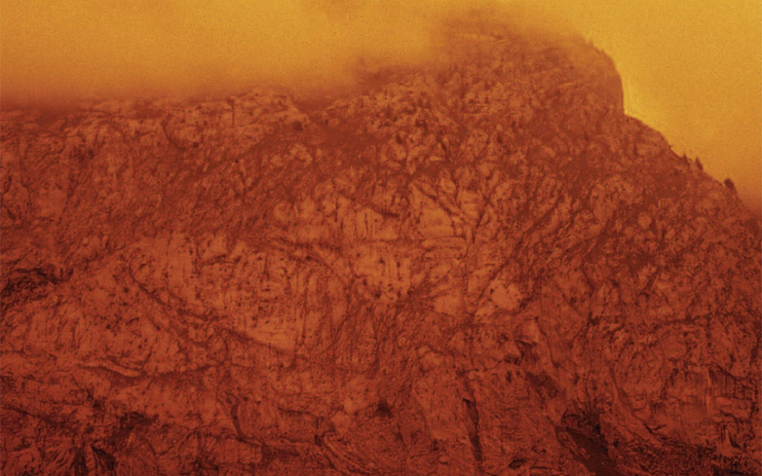 Exposition de Photographies « Collections croisées »