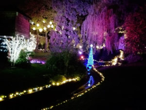 Enchantement du Square