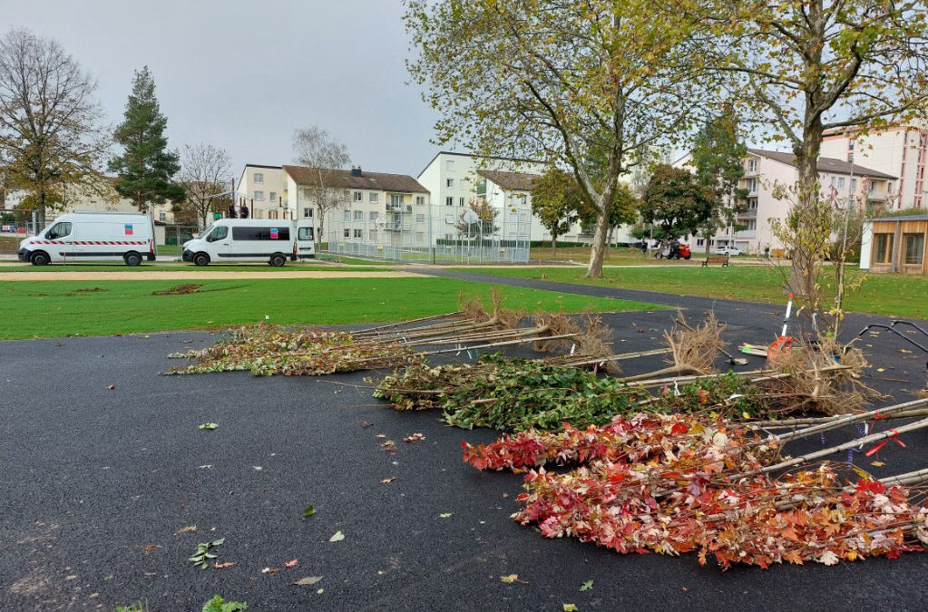 Plantation d&rsquo;arbres en nombre au Square Jara à Marmiers