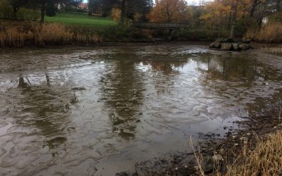 Remise en eau de l’étang de la Fraternité dès la semaine prochaine