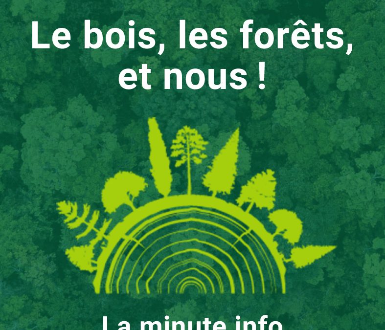 La minute info /  Le bois, les fôrets et nous !