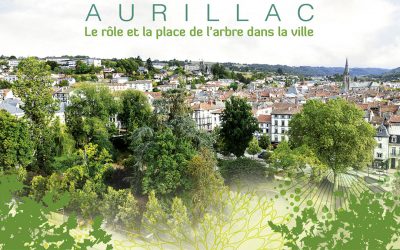 L’arbre et la ville