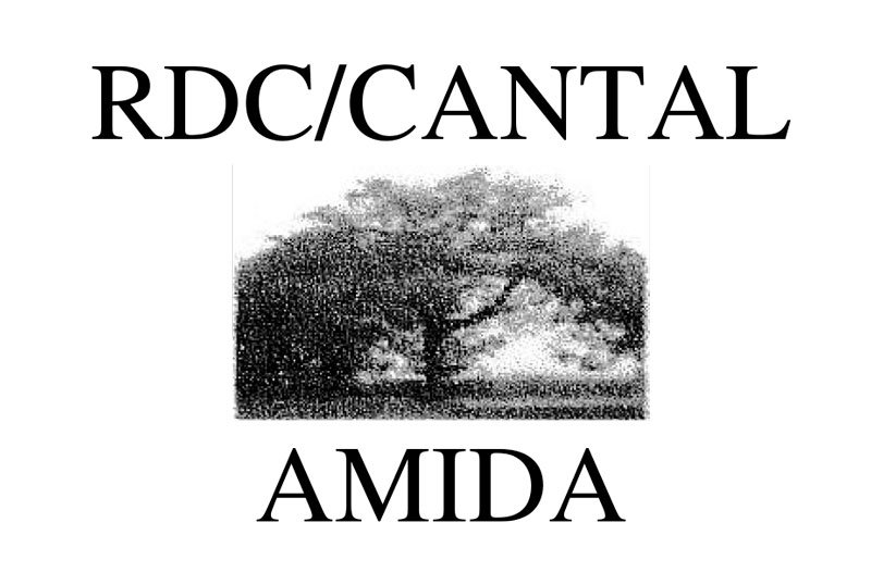 AMIDA