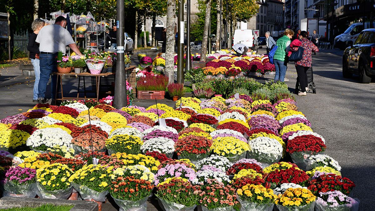 Marché aux fleurs - Toussaint