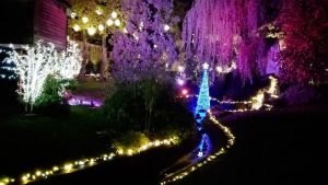 Noël - Enchantement