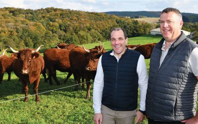 Restauration collective : le circuit qualité