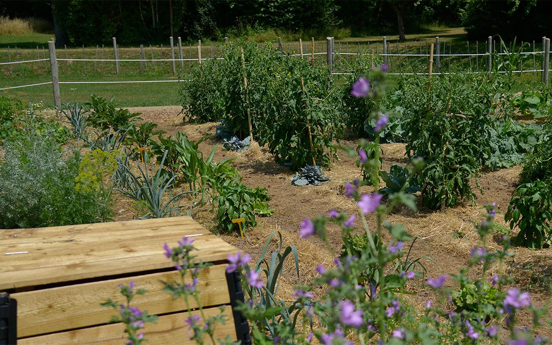 Formation jardinage au naturel à la Plantelière