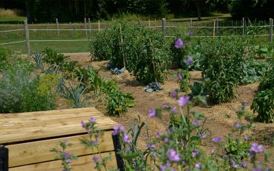 Formation jardinage au naturel à la Plantelière