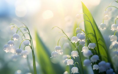 Planning des ateliers d’éveil – mai 2025 –
