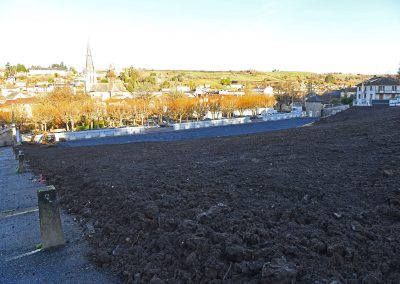 Dépollution