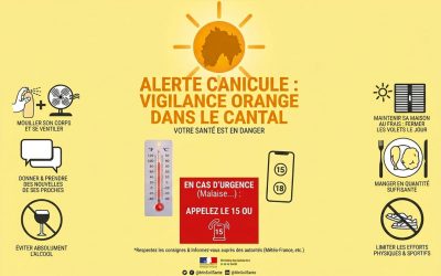 CANICULE | VIGILANCE