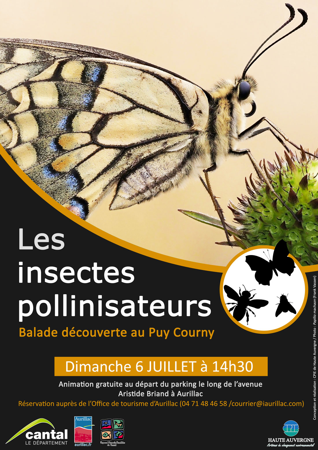 Balade découverte sur les papillons et autres insectes pollinisateurs
