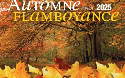 Automne de la Flamboyance, du 12 octobre au 26 novembre