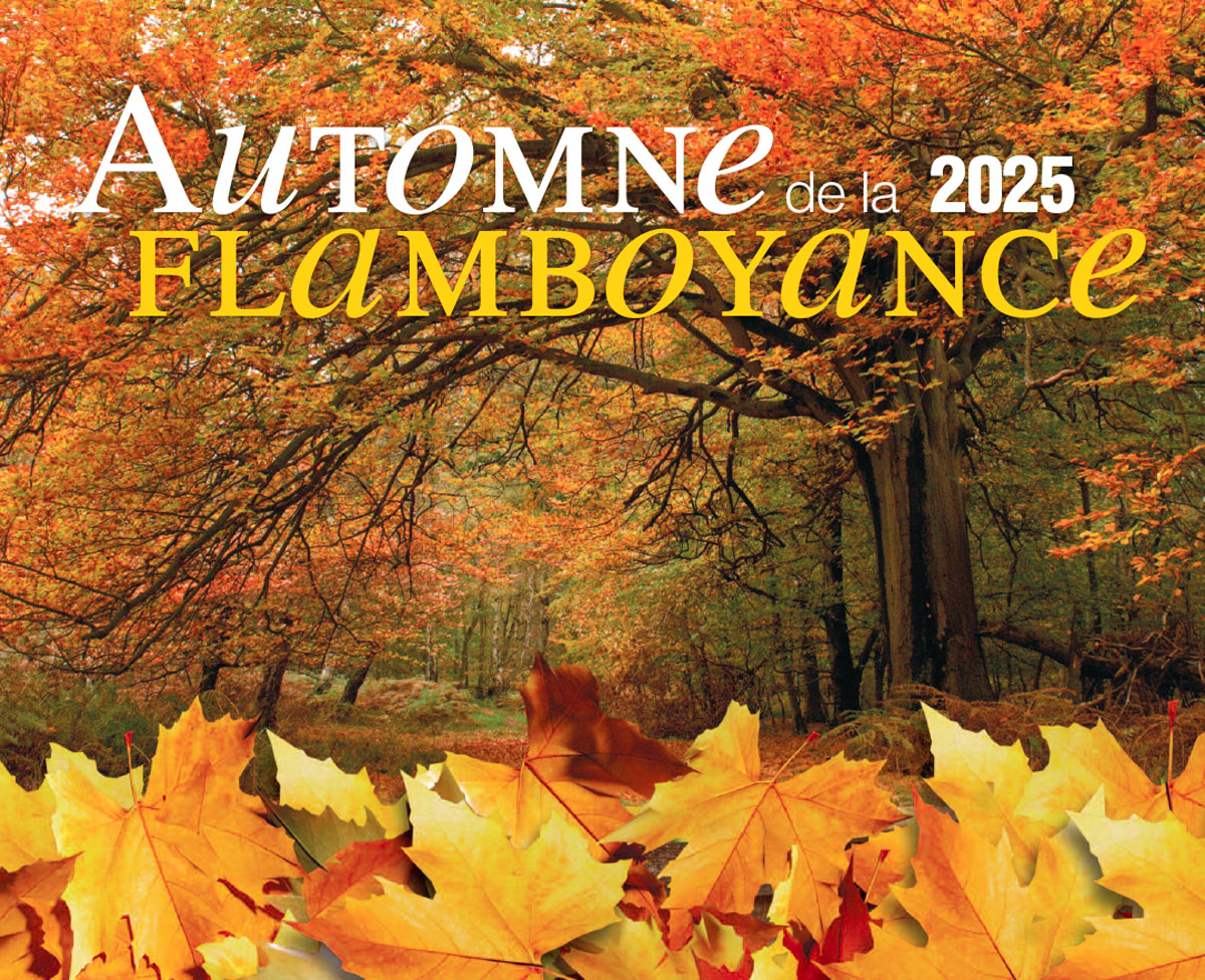 Automne de la Flamboyance
