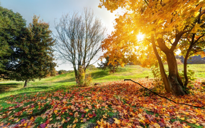 Planning des ateliers d’éveil du mois de novembre 2025