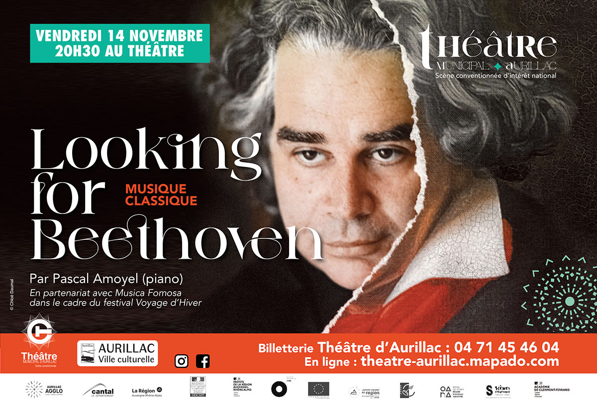 Looking for Beethoven