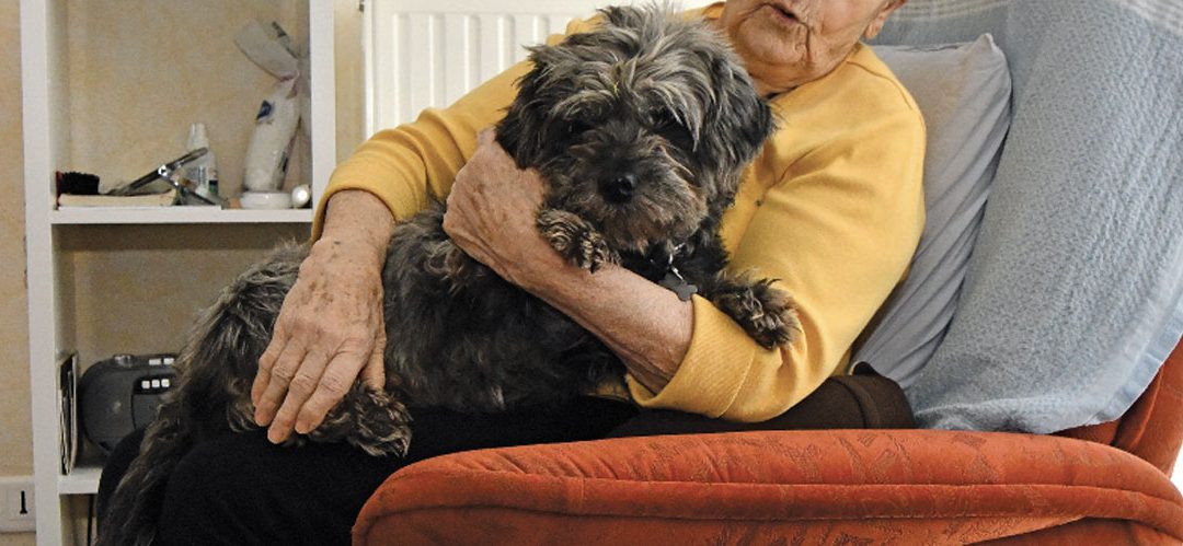 KIKI, médiateur animal à Limagne