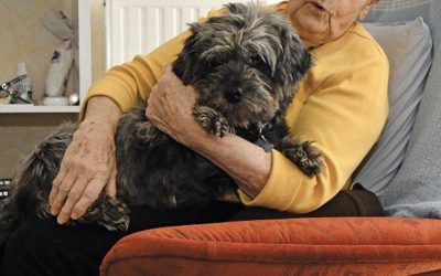 KIKI, médiateur animal à Limagne