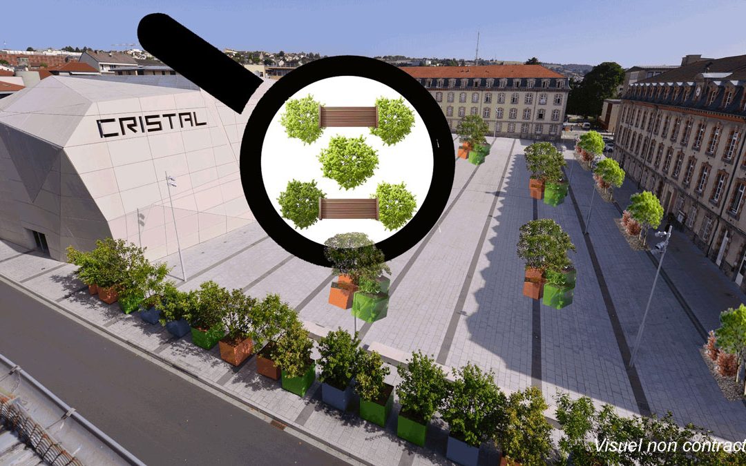 Végétalisation de la place Crespin