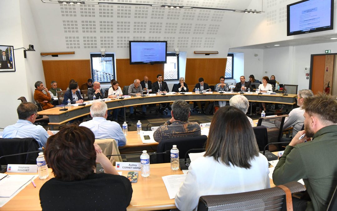Conseil municipal en différé du jeudi 16 avril