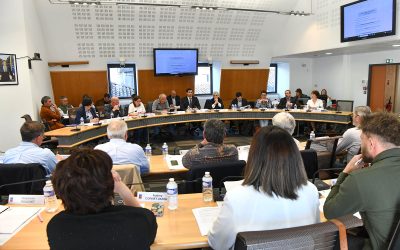 Conseil municipal en différé du jeudi 16 avril