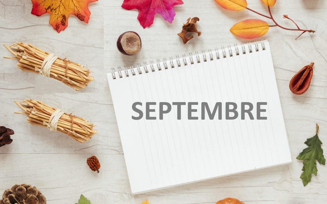 Planning des ateliers d&rsquo;éveil du mois de septembre 2026
