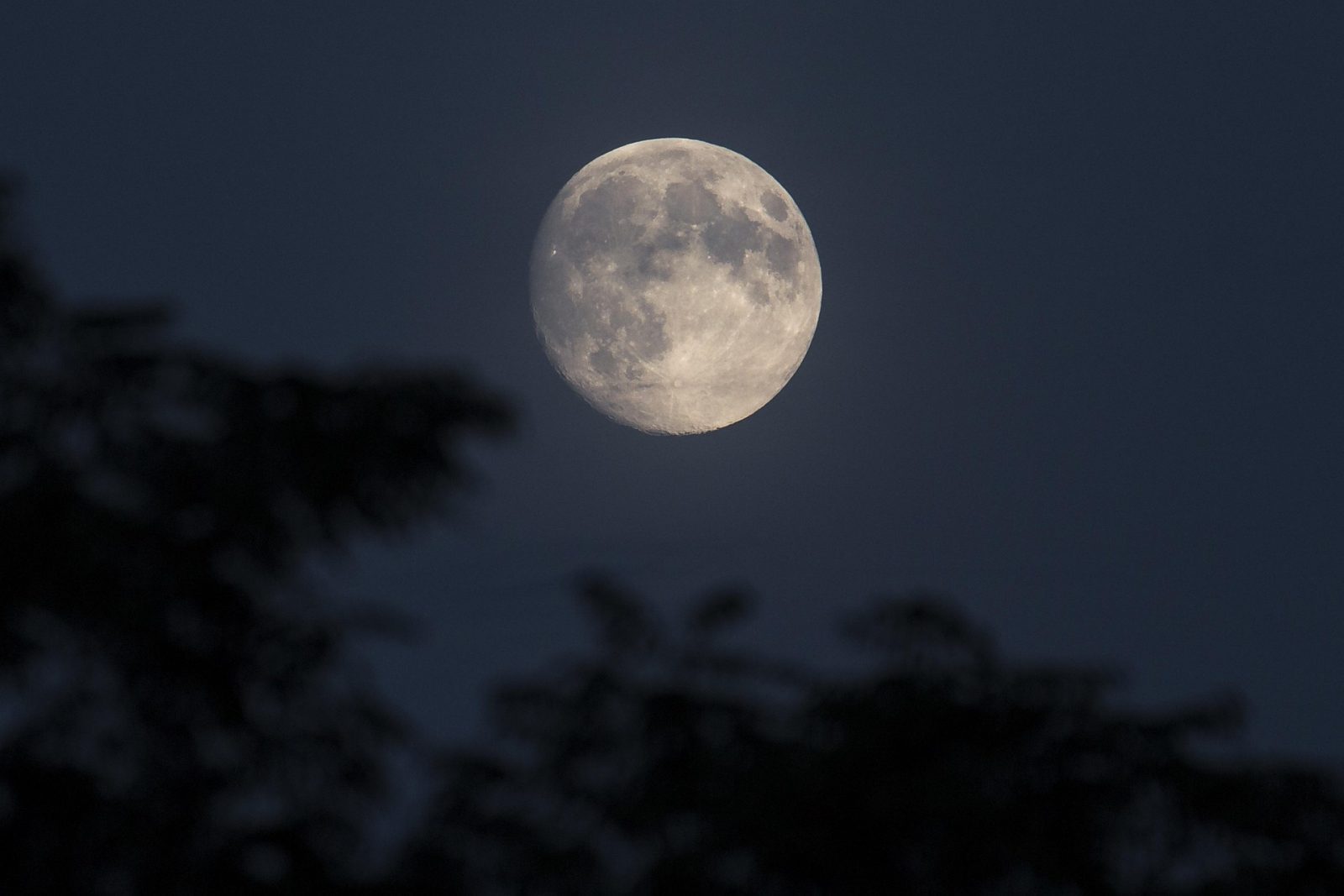 Duo Clair de Lune  / CMDA